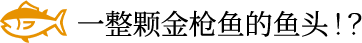 一整颗金枪鱼的鱼头！？