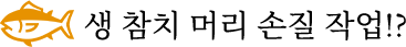 생 참치 머리 손질 작업!?