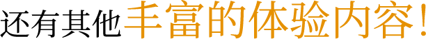 还有其他丰富的体验内容！