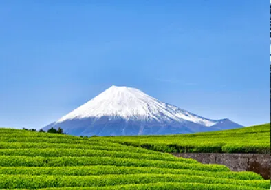 Shizuoka