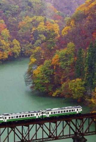Yoshino