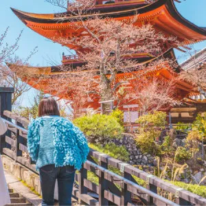 nakai test] Recommended for beginners traveling to Hiroshima! I'll teach you a model course for sightseeing in Hiroshima!