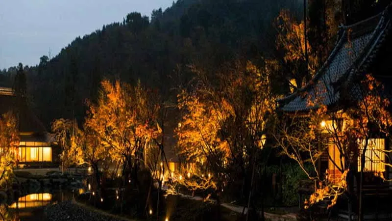 nakai test] Featured recommended experiences that satisfy the five senses.
