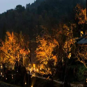 nakai test] Featured recommended experiences that satisfy the five senses.