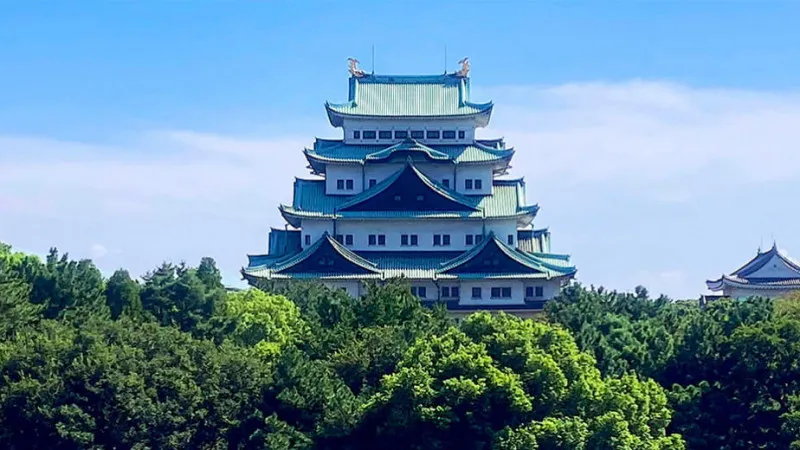Five popular cherry blossom viewing spots in Shizuoka in early spring.