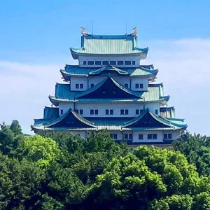 Five popular cherry blossom viewing spots in Shizuoka in early spring.