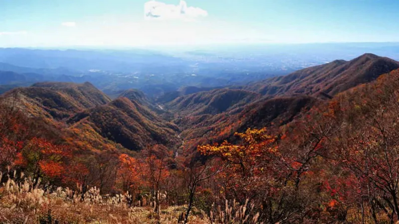 Gunma