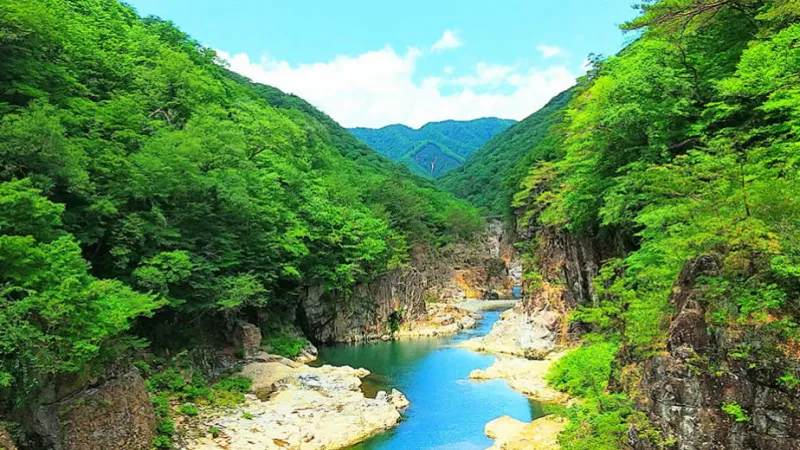 Tochigi