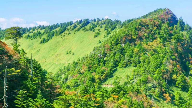 Ehime