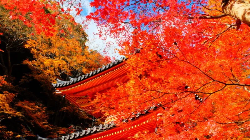 Hokkaido