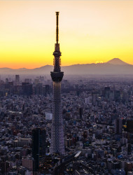 オプションテスト