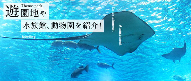 エンタメ・アミューズメント