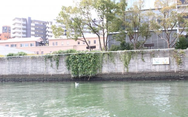 Grill Some Snacks and Relax in the Cozy House on the River, Ofune Camome’s Sake Tasting Cruise 