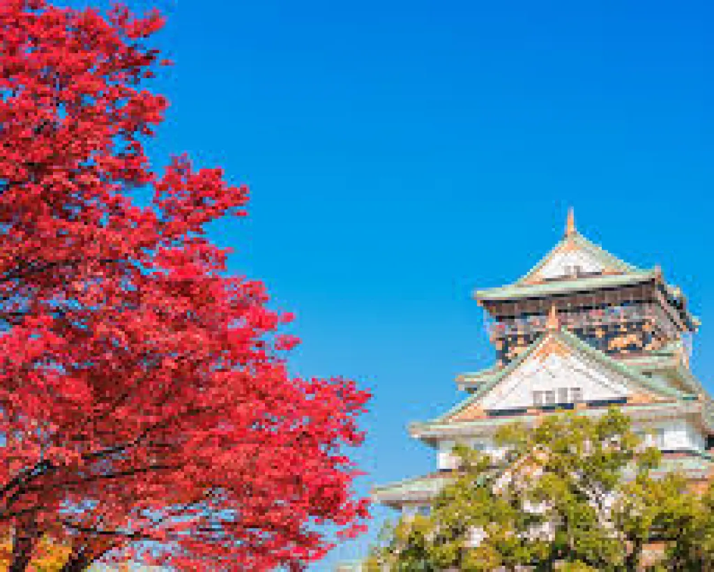 Ise: Guided Geku and Naiku in the Sacred Pilgrimage Order#4