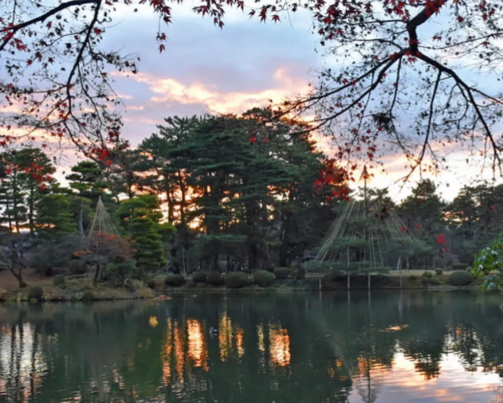 A Night Out Like The Locals: Osaka Food Tour in Namba#3