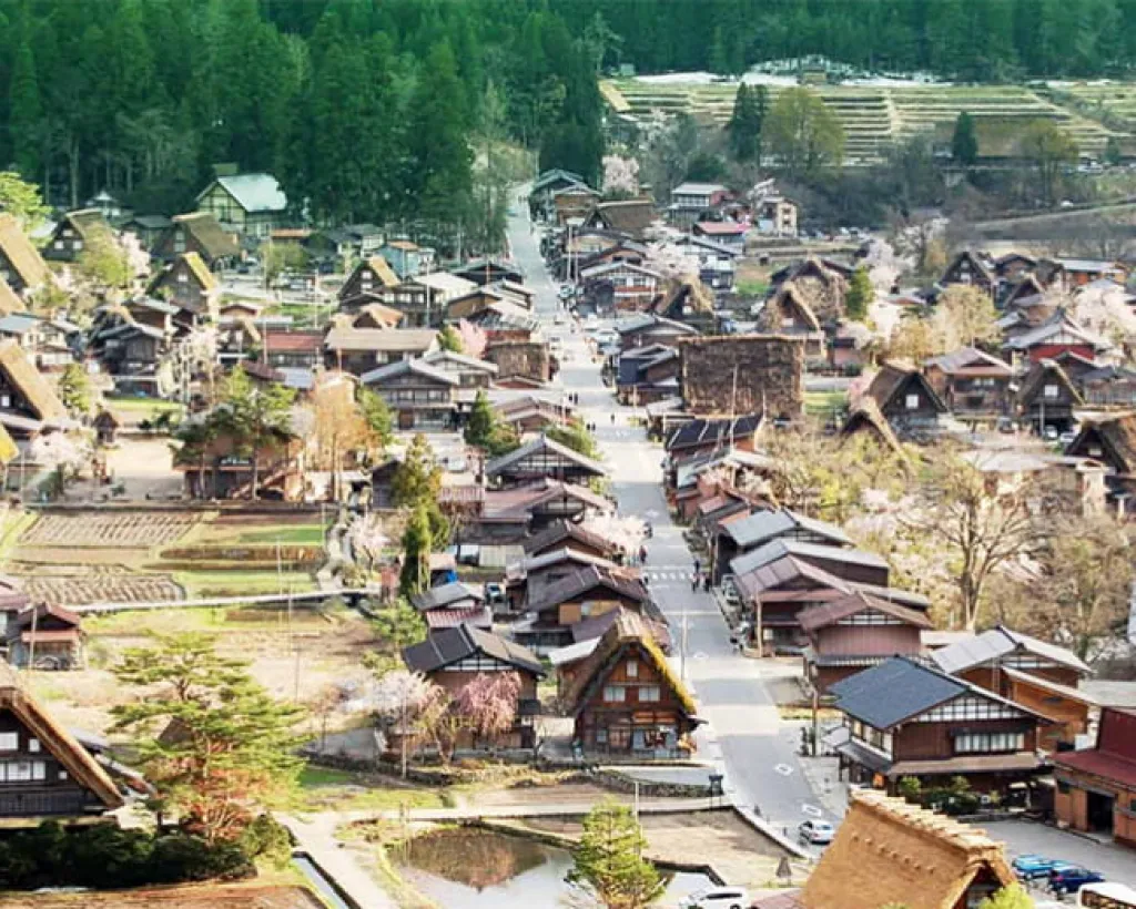 Viator：Private 3-Hour UNESCO Heritage Sites & Deer Park Tour#1