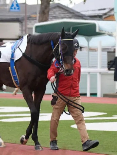 Amagasaki Retro Tour: Showa era-style bar & horse race experience