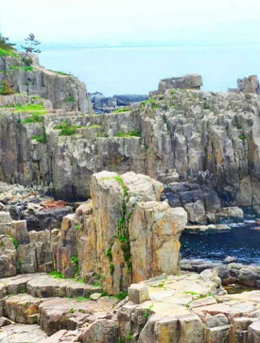 大阪の温泉旅館で楽しむ「日帰りランチと天然温泉露天風呂」